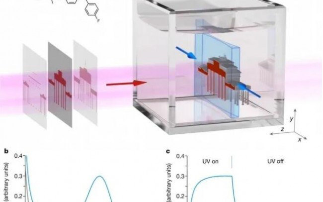 ͼ1 Xolography 3Dӡ.png