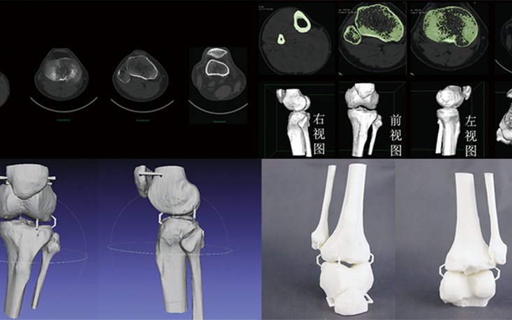 CTάؽģģ;ϸģ޸ģ3Dӡٳ